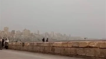 تحذير لساكني الإسكندرية.. تقلبات جوية مرتقبة ورياح مثيرة للأتربة تضرب المحافظة